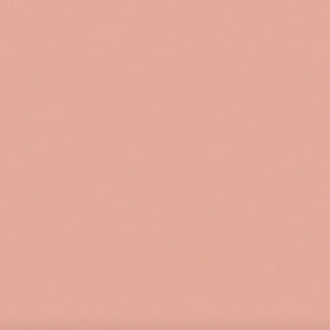 Meet your Posher, Adelaide